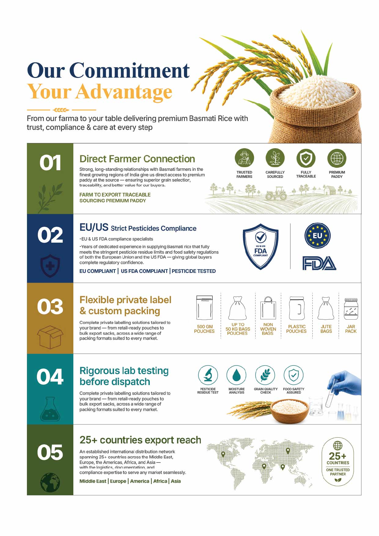 Brochure page 5