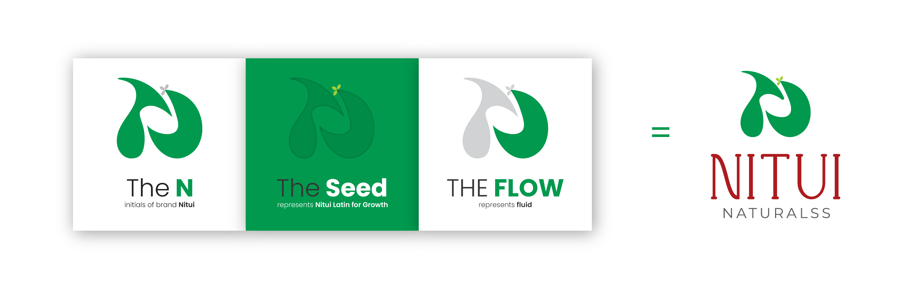 Nitui Naturalss logo rationale — the N, the seed, the flow